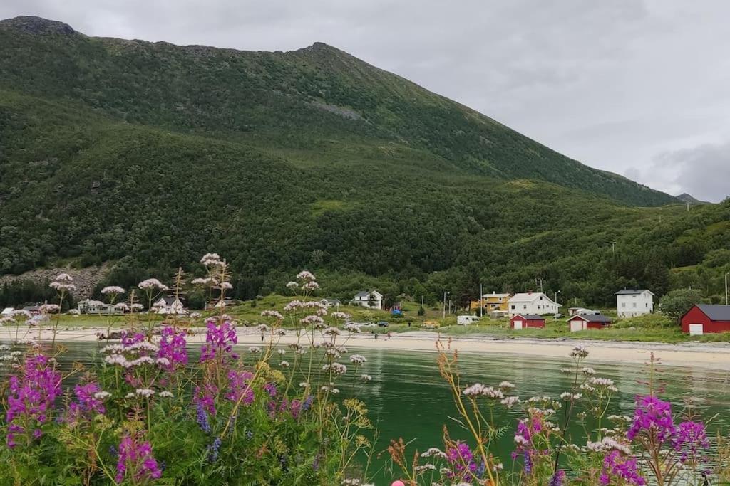 Апартаменты Norwegian House Maria Stua Mefjordvaer Экстерьер фото